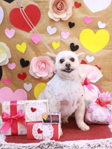 20230226ポンタくん